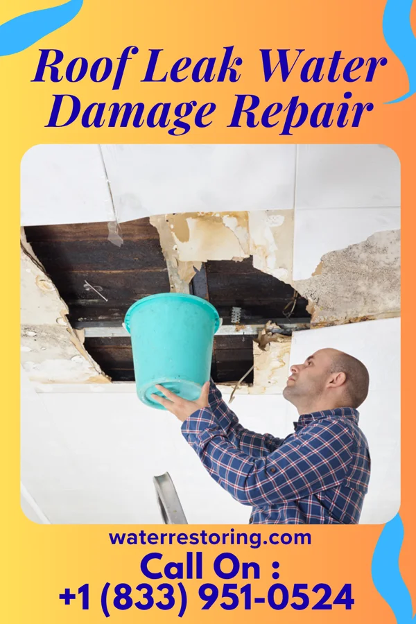 Roof Leak Water Damage Repair in Middle Grove, MO