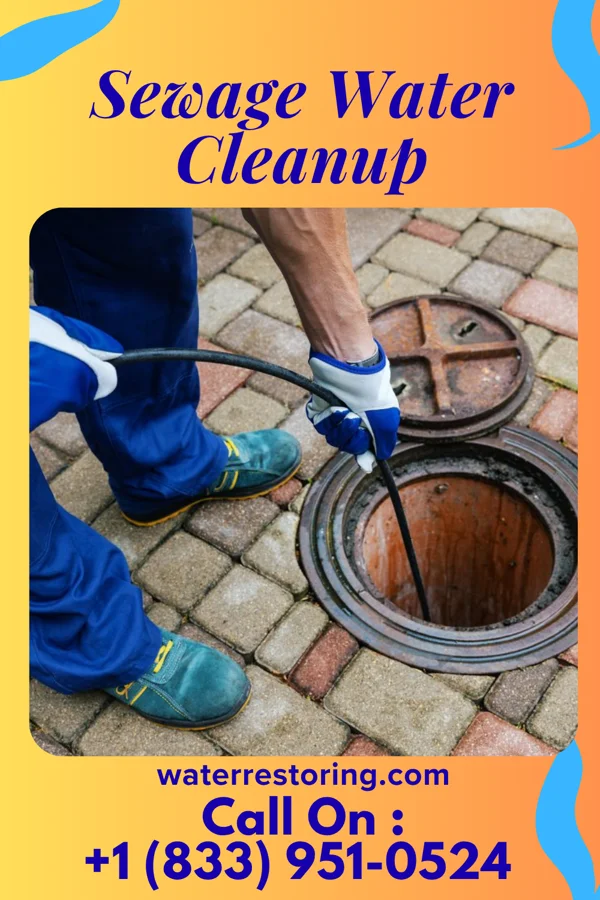 Sewage Water Cleanup in Middle Grove, MO